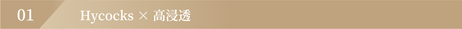 Hycocks × 高浸透